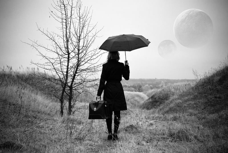 Parallel Universe Laws